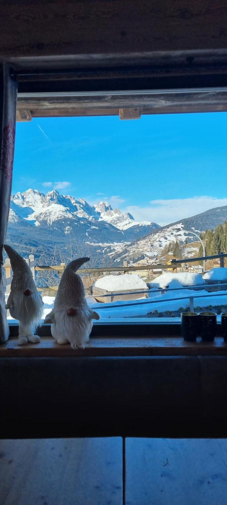 サント・ステーファノ・ディ・カドーレCasa Tiziano E Nilaアパートメント エクステリア 写真